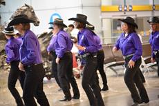 Click to view album: Stampede at YYC