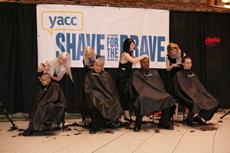 Click to view album: Shave For The Brave 2012