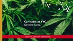 YYC and cannabis legalization – what you need to know